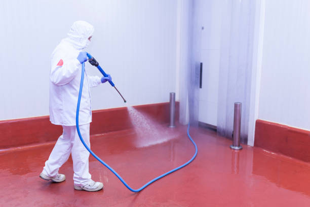 Best Boat and Dock Cleaning  in Castroville, TX
